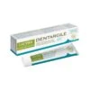 Dentifrice DENTARGILE à La Menthe BIO 75ml